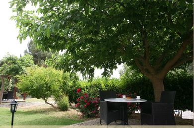 Stavros Tou Notou - Image 3