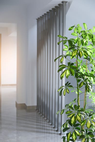 Summer In Halkidiki - Image 6