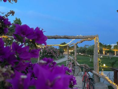 Eco Beach & Magic Garden Hotel - Image 5