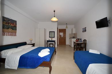 Triple Economy Studio with Garden View
