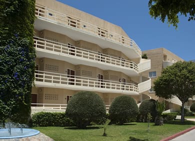 Sunshine Rhodes - Image 6