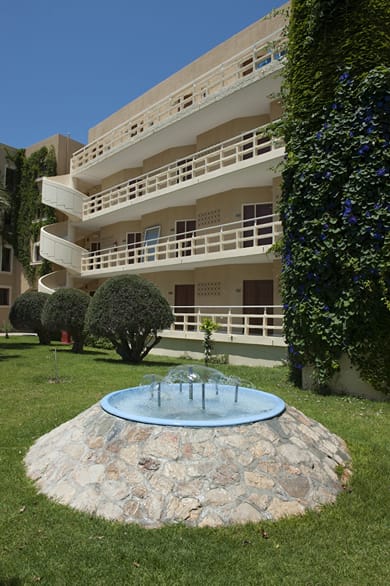 Sunshine Rhodes - Image 7