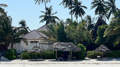 Zoi Retreat Hotel Zanzibar - Image 5