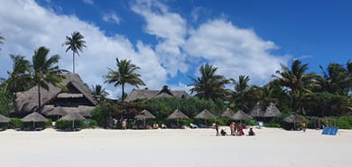 Zoi Retreat Hotel Zanzibar - Image 6
