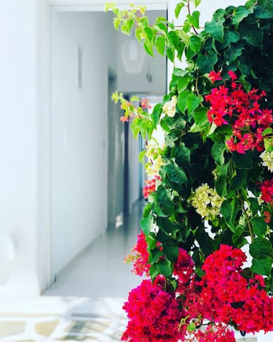 Taki's Guests - Image 3