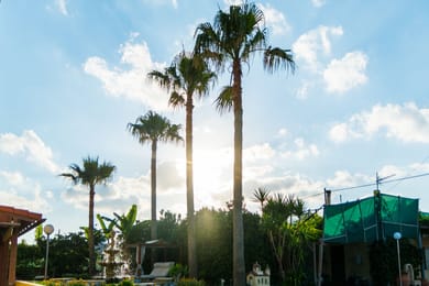 Thalassa Apartments Chania - Image 4