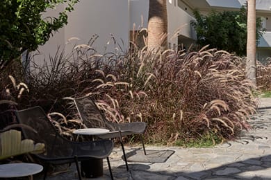 Atlantica Thalassa Hotel - Image 7
