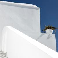 The Arches - Image 5