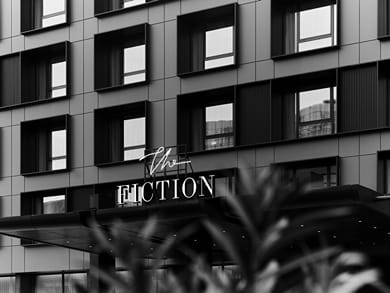 The Fiction - Image 2