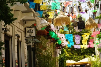 The Frogs Guesthouse - Image 3