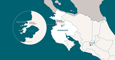 The Hive Private Residence - Image 5