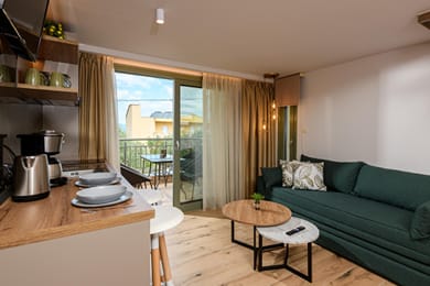 The Olive Land - Image 5