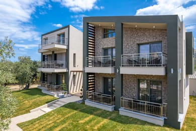 The Olive Land - Image 2