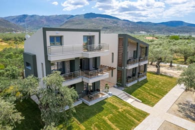 The Olive Land - Image 3