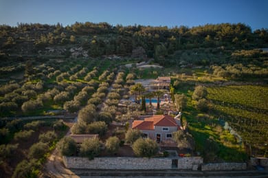 Entire property with private swimming pool