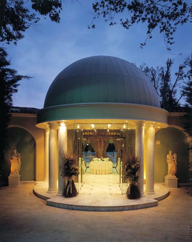 Theoxenia Palace Kifissia - Image 5