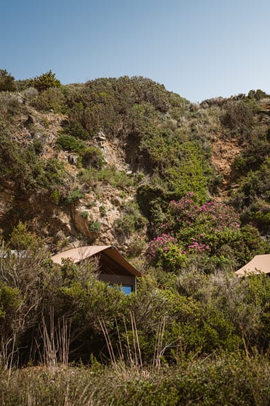 The Revery - Luxury Suites & Tented Pavilions - Image 4