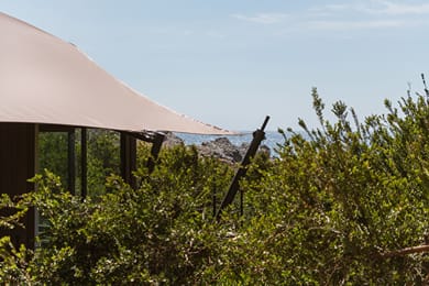 The Revery - Luxury Suites & Tented Pavilions - Image 5