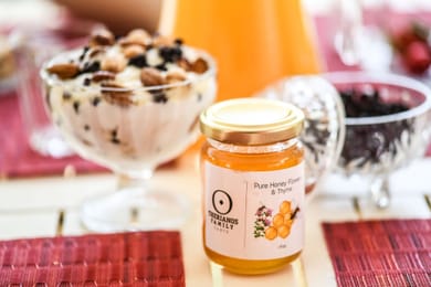 Theriano’s Villas - Image 3