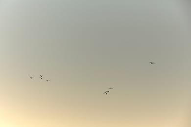 The Tierras Heraklion - Image 5