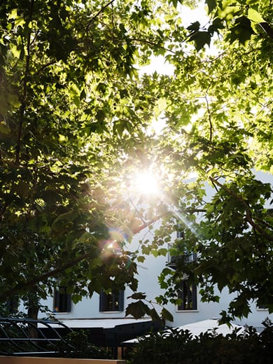 The Twentyone - Image 6