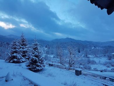 Thisoa Hotel Arcadia - Image 7