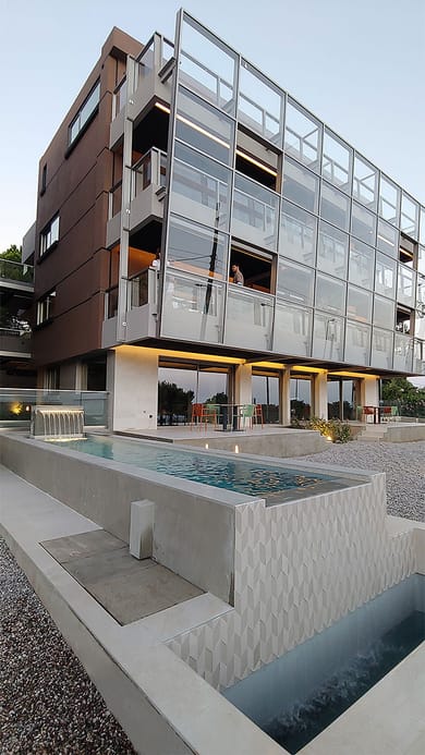 Three Olive Trees - Image 5