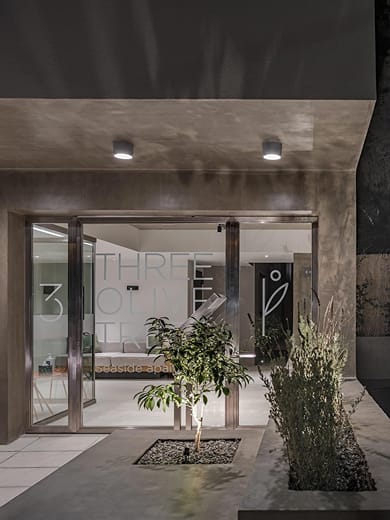 Three Olive Trees - Image 6