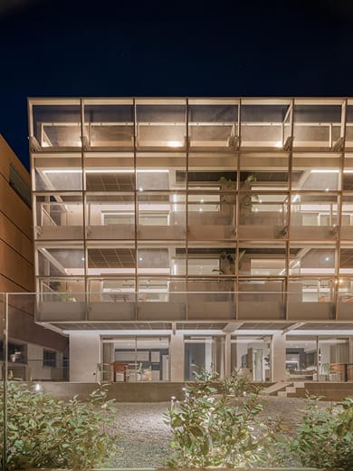 Three Olive Trees - Image 7