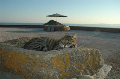 Tinos View Luxury Apartments - Image 5