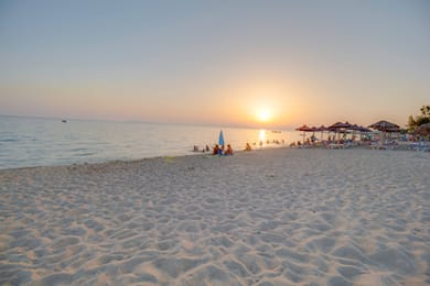 Toroni Blue - Image 6