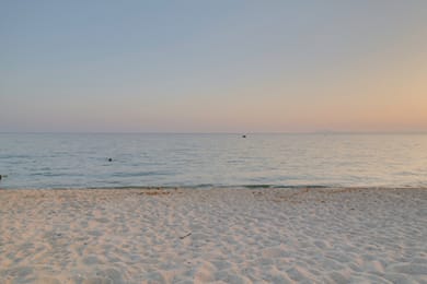 Toroni Blue - Image 7