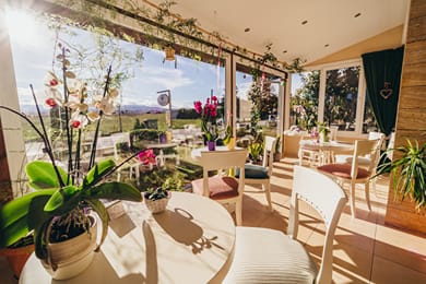 To Spiti tis Sofias - Image 6