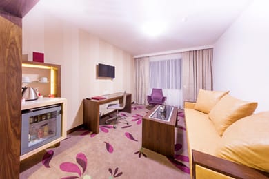 Transilvania Hotel - Image 3