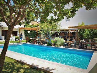 Tree of Life Art Hotel - Image 3