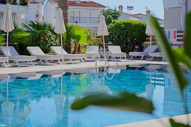 Hotel Tropical - Image 5