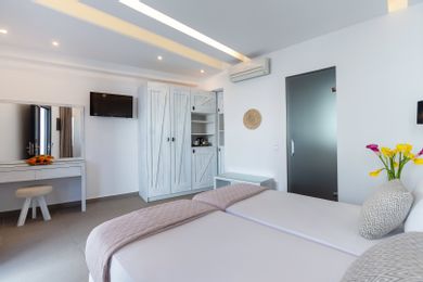 Double or Twin Room with Private Pool on the Side