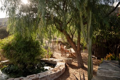 Morning Glory Cottage