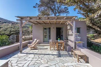 Under the Linden Tree Tinos - Image 2