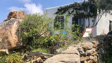 Under the Linden Tree Tinos - Image 5