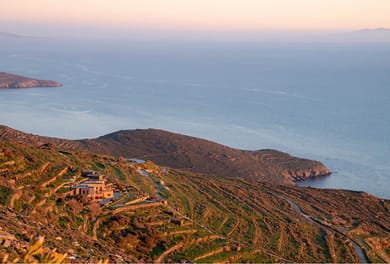Under the Linden Tree Tinos - Image 6