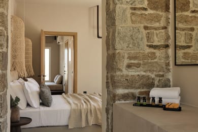 Premium Two Bedroom Villa with Outdoor Plunge Pool