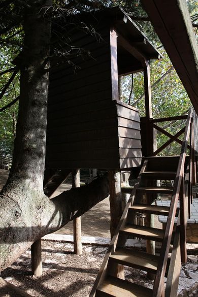 Vasilikia Mountain Farm & Retreat - Image 3