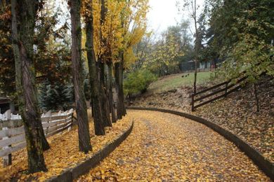 Vasilikia Mountain Farm & Retreat - Image 5