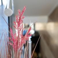 Vellum Luxury Living - Image 2