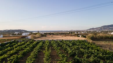 Velonis Villas - Image 4