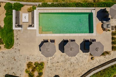 Ventus di Milo - Image 6