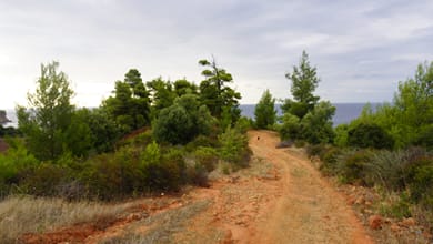 Halkidiki Kassandra Villa 3P - Image 6