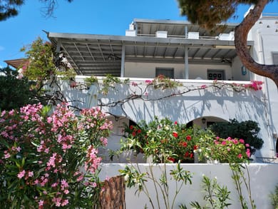 Studio with Private Courtyard & View