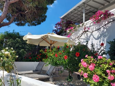 Studio with Private Courtyard & View